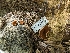  ( - HAY-F-002166)  @11 [ ] by-nc (2023) Stu Pickell Fungal Diversity Survey