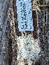  ( - HAY-F-002110)  @11 [ ] by-nc (2023) Stu Pickell Fungal Diversity Survey