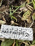  ( - HAY-F-001255)  @11 [ ] by-nc (2023) Aaron Tupac Fungal Diversity Survey