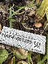  ( - HAY-F-001255)  @11 [ ] by-nc (2023) Aaron Tupac Fungal Diversity Survey