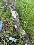  ( - HAY-F-001288)  @11 [ ] by-nc (2023) Aaron Tupac Fungal Diversity Survey