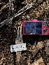 ( - HAY-F-003732)  @11 [ ] by-nc (2023) Dean Lyons Fungal Diversity Survey
