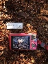  ( - HAY-F-003733)  @11 [ ] by-nc (2023) Dean Lyons Fungal Diversity Survey