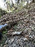  ( - HAY-F-001328)  @11 [ ] by-nc (2023) Aaron Tupac Fungal Diversity Survey
