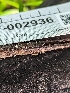  ( - HAY-F-002936)  @11 [ ] by-nc (2023) Stu Pickell Fungal Diversity Survey