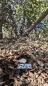  ( - HAY-F-001406)  @11 [ ] c (2023) Michelle C. Torres-Grant Fungal Diversity Survey