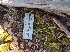  ( - HAY-F-001856)  @11 [ ] by-nc (2023) Sadie Hickey Fungal Diversity Survey