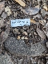  ( - HAY-F-005297)  @11 [ ] by-nc (2023) Stu Pickell Fungal Diversity Survey