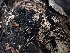  ( - HAY-F-001933)  @11 [ ] by-nc (2023) Sadie Hickey Fungal Diversity Survey