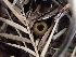  ( - HAY-F-001872)  @11 [ ] by-nc (2023) Sadie Hickey Fungal Diversity Survey