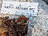  ( - HAY-F-002844)  @11 [ ] by-nc (2023) Stu Pickell Fungal Diversity Survey