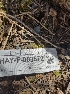  ( - HAY-F-003572)  @11 [ ] by-nc (2023) Sadie Hickey Fungal Diversity Survey