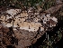  ( - HAY-F-003583)  @11 [ ] by-nc (2023) Sadie Hickey Fungal Diversity Survey