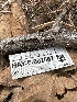  ( - HAY-F-002667)  @11 [ ] c (2023) Rudy Diaz Fungal Diversity Survey