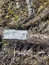  ( - HAY-F-003607)  @11 [ ] by-nc (2023) Sadie Hickey Fungal Diversity Survey