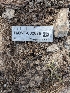  ( - HAY-F-002876)  @11 [ ] by-nc (2023) Stu Pickell Fungal Diversity Survey