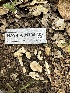  ( - HAY-F-001704)  @11 [ ] by-nc (2023) Bat Vardeh Fungal Diversity Survey