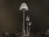  ( - HAY-F-002880)  @11 [ ] by-nc (2023) Stu Pickell Fungal Diversity Survey