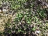  ( - HAY-F-002898)  @11 [ ] by-nc (2023) Stu Pickell Fungal Diversity Survey