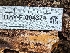  ( - HAY-F-004374)  @11 [ ] by-nc (2023) Stu Pickell Fungal Diversity Survey