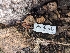  ( - HAY-F-004380)  @11 [ ] by-nc (2023) Stu Pickell Fungal Diversity Survey