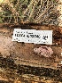  ( - HAY-F-003746)  @11 [ ] by-nc (2023) Dean Lyons Fungal Diversity Survey