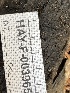  ( - HAY-F-003965)  @11 [ ] by-nc (2023) Grace Stark Fungal Diversity Survey