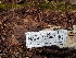  ( - HAY-F-004967)  @11 [ ] by-nc (2023) Warren Cardimona Fungal Diversity Survey