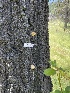  ( - HAY-F-004189)  @11 [ ] by-nc (2023) Jaren Hockert Fungal Diversity Survey