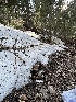  ( - HAY-F-001218)  @11 [ ] by-nc (2023) Aaron Tupac Fungal Diversity Survey