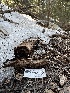  ( - HAY-F-001218)  @11 [ ] by-nc (2023) Aaron Tupac Fungal Diversity Survey