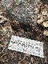  ( - HAY-F-002712)  @11 [ ] c (2023) Rudy Diaz Fungal Diversity Survey