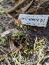 ( - HAY-F-004472)  @11 [ ] by-nc (2023) Stu Pickell Fungal Diversity Survey