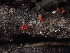  ( - HAY-F-003867)  @11 [ ] by-nc (2023) Grace Stark Fungal Diversity Survey