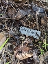  ( - HAY-F-004499)  @11 [ ] by-nc (2023) Stu Pickell Fungal Diversity Survey
