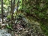  ( - HAY-F-004516)  @11 [ ] by-nc (2023) Stu Pickell Fungal Diversity Survey