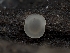  ( - HAY-F-004510)  @11 [ ] by-nc (2023) Stu Pickell Fungal Diversity Survey