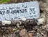  ( - HAY-F-004525)  @11 [ ] by-nc (2023) Stu Pickell Fungal Diversity Survey