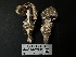 ( - LA-F-000085)  @11 [ ] c (2023) Rudy Diaz Fungal Diversity Survey