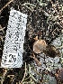  ( - HAY-F-001277)  @11 [ ] by-nc (2023) Aaron Tupac Fungal Diversity Survey