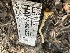  ( - HAY-F-001259)  @11 [ ] by-nc (2023) Aaron Tupac Fungal Diversity Survey