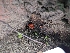  ( - HAY-F-004535)  @11 [ ] by-nc (2023) Stu Pickell Fungal Diversity Survey