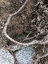  ( - HAY-F-004535)  @11 [ ] by-nc (2023) Stu Pickell Fungal Diversity Survey