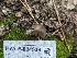  ( - HAY-F-004538)  @11 [ ] by-nc (2023) Stu Pickell Fungal Diversity Survey