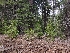  ( - HAY-F-004957)  @11 [ ] by-nc (2023) Warren Cardimona Fungal Diversity Survey