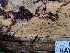  ( - HAY-F-004920)  @11 [ ] by-nc (2023) Warren Cardimona Fungal Diversity Survey