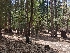  ( - HAY-F-005256)  @11 [ ] by-nc (2023) Warren Cardimona Fungal Diversity Survey