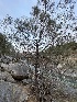  ( - HAY-F-004199)  @11 [ ] by-nc (2023) Jaren Hockert Fungal Diversity Survey