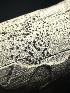  (Pseudofusicoccum - HAY-F-005573)  @11 [ ] c (2023) Rudy Diaz Fungal Diversity Survey