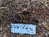  ( - HAY-F-004912)  @11 [ ] by-nc (2023) Warren Cardimona Fungal Diversity Survey